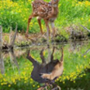 Meet your Posher, Eric